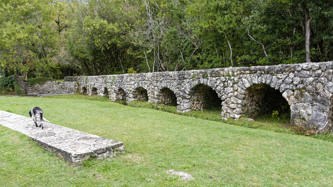 20221104 105400•Konavle•County of Dubrovnik-Neretva•Croatia